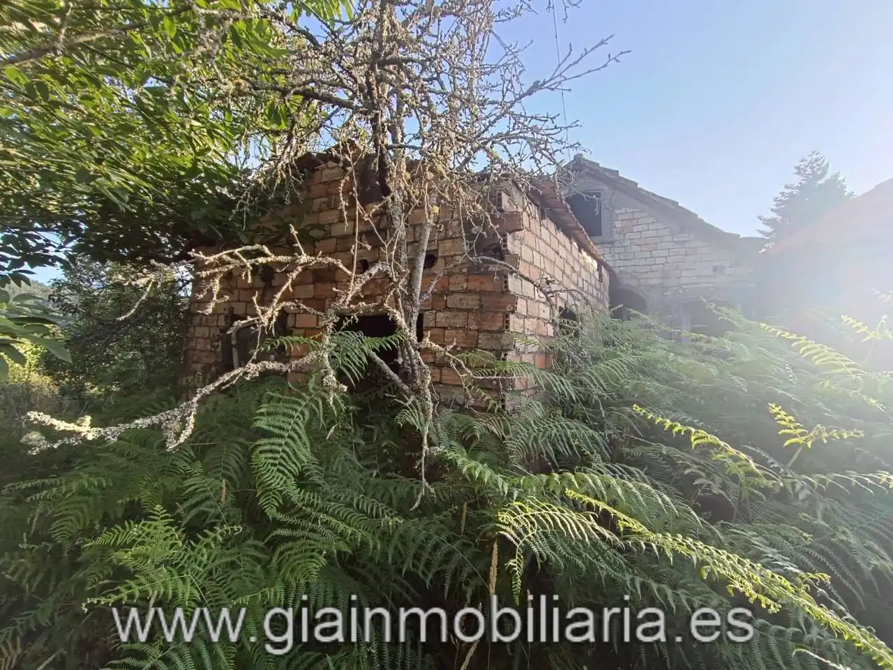 Casa en venta en Calle Ceo, imagen 24