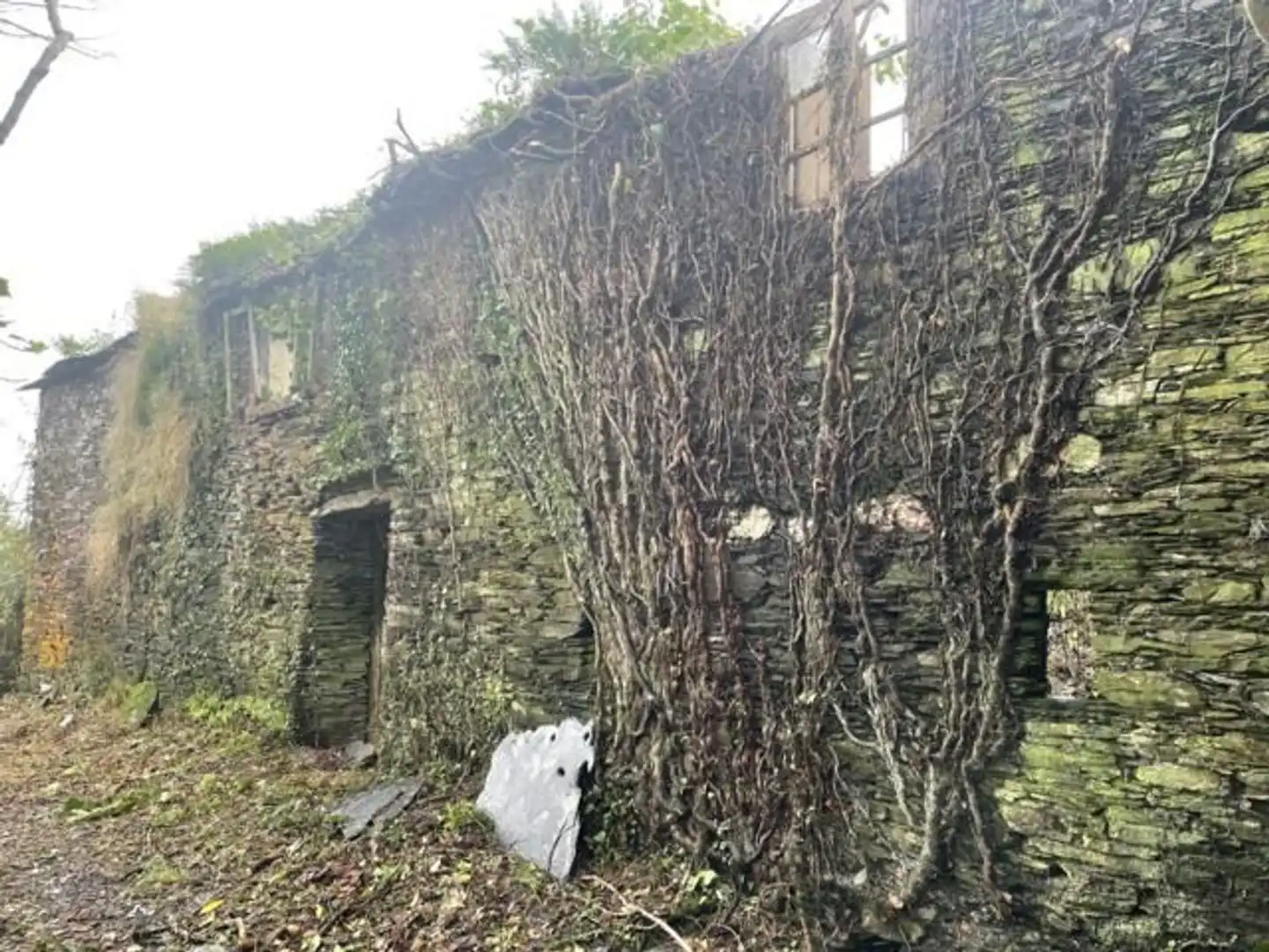Vista exterior de Finca rústica en venta en Ortigueira con Jardín privado y Terraza