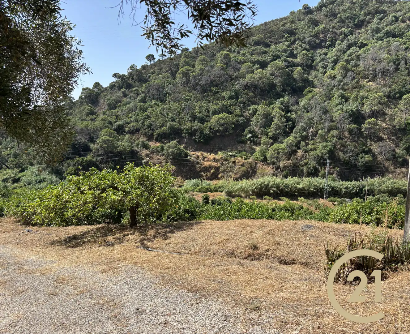 Land for sale in Estepona