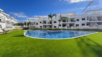 Piscina de Casa o xalet en venda en Torrevieja amb Terrassa i Piscina