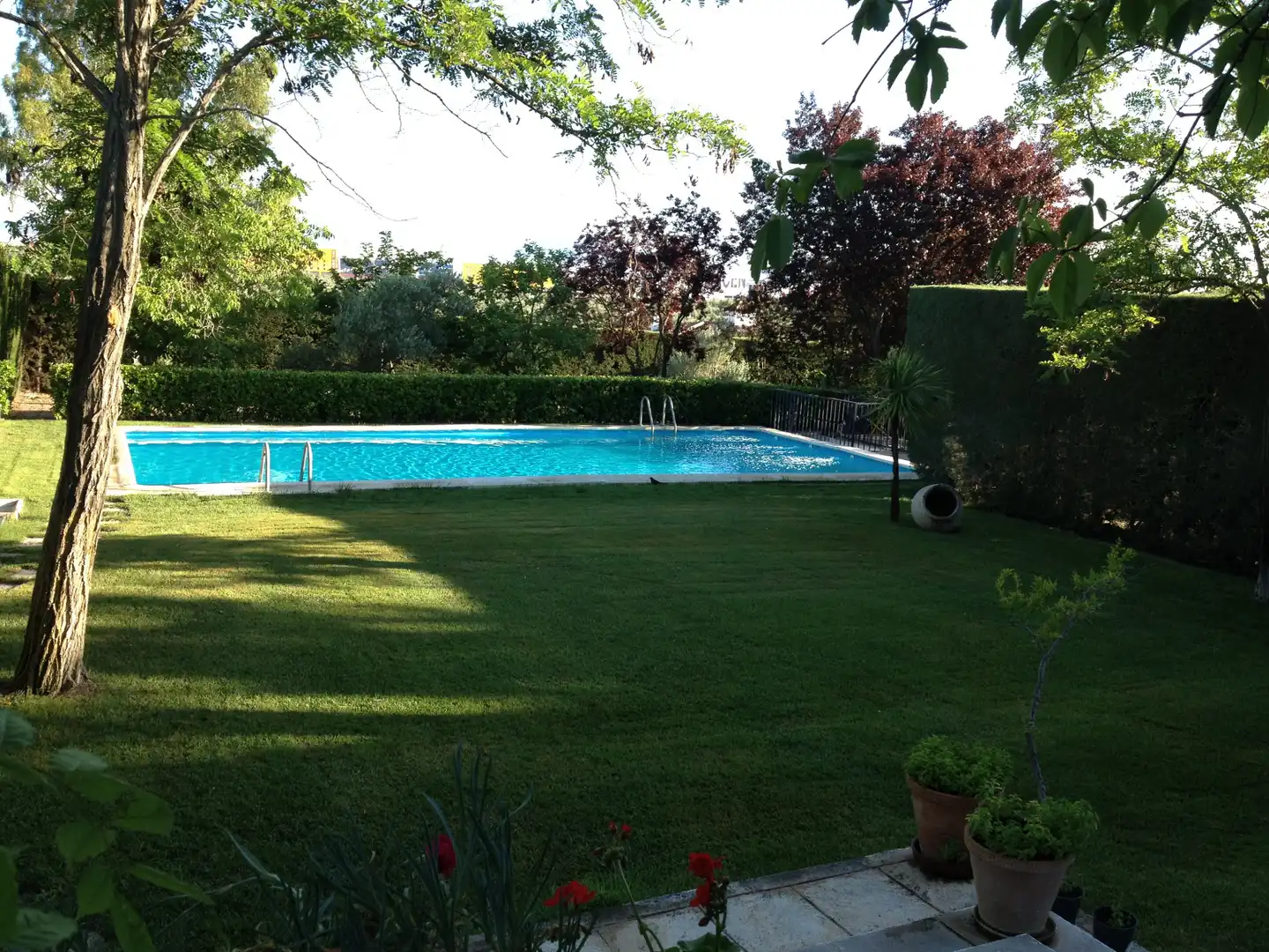 Swimming pool of Houses for sale in Úbeda  with Heating, Private garden and Swimming Pool