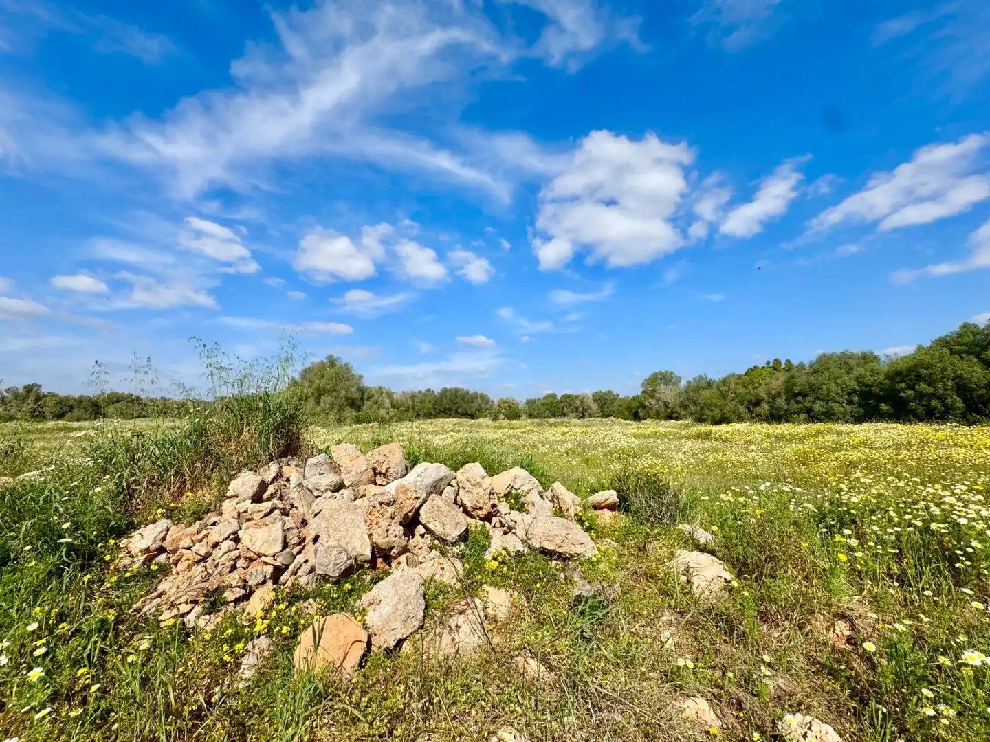 Residential land for sale in parcela 27 del polígono 22. Campos, imagen 5