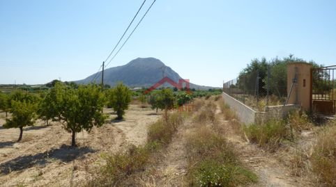 Foto 3 de Terreno en venta en Camino del Fardacho, Rebolledo, Alicante / Alacant
