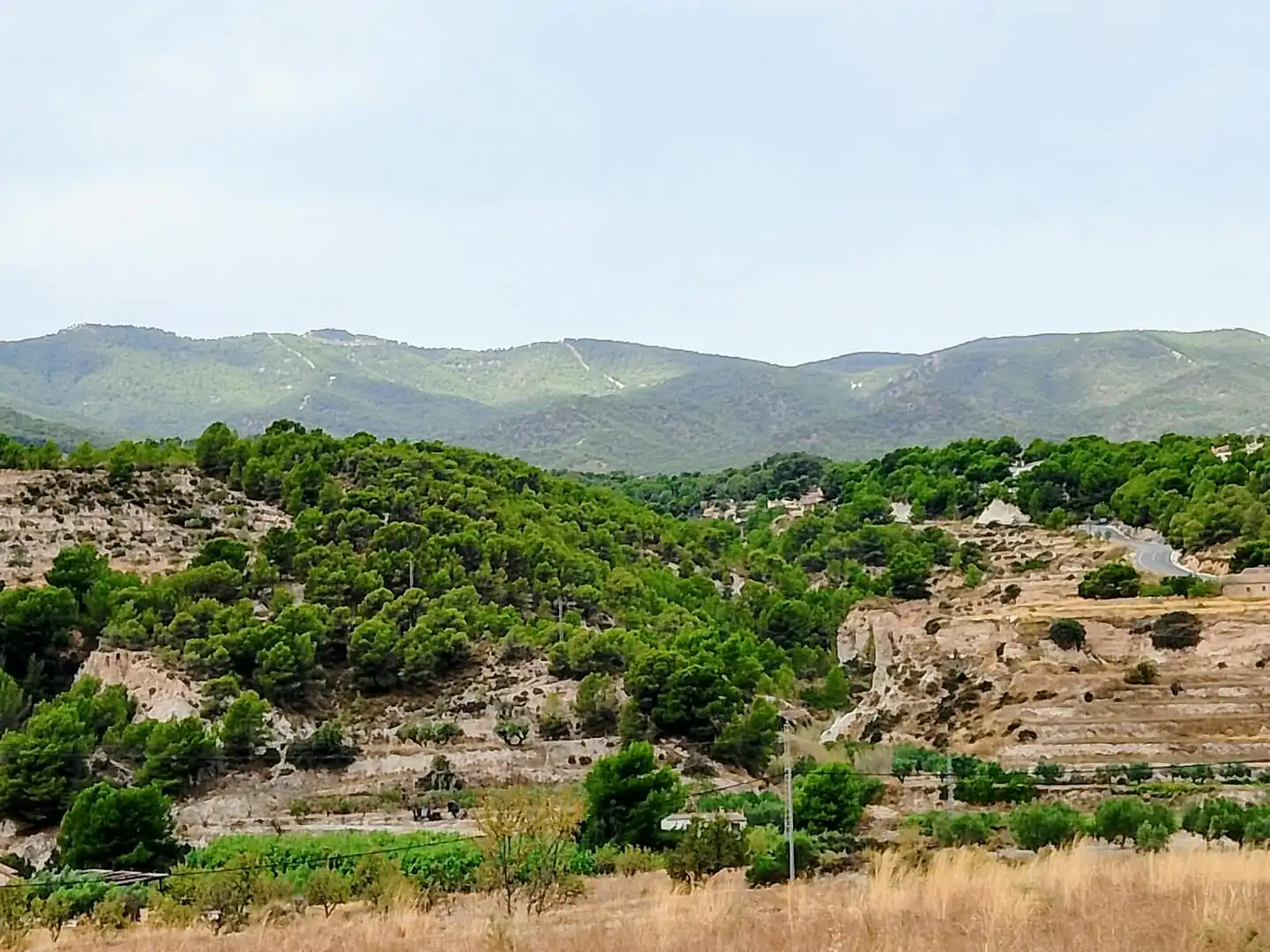 Terreno rustico in vendita a Lugar Castillo, imagen 6