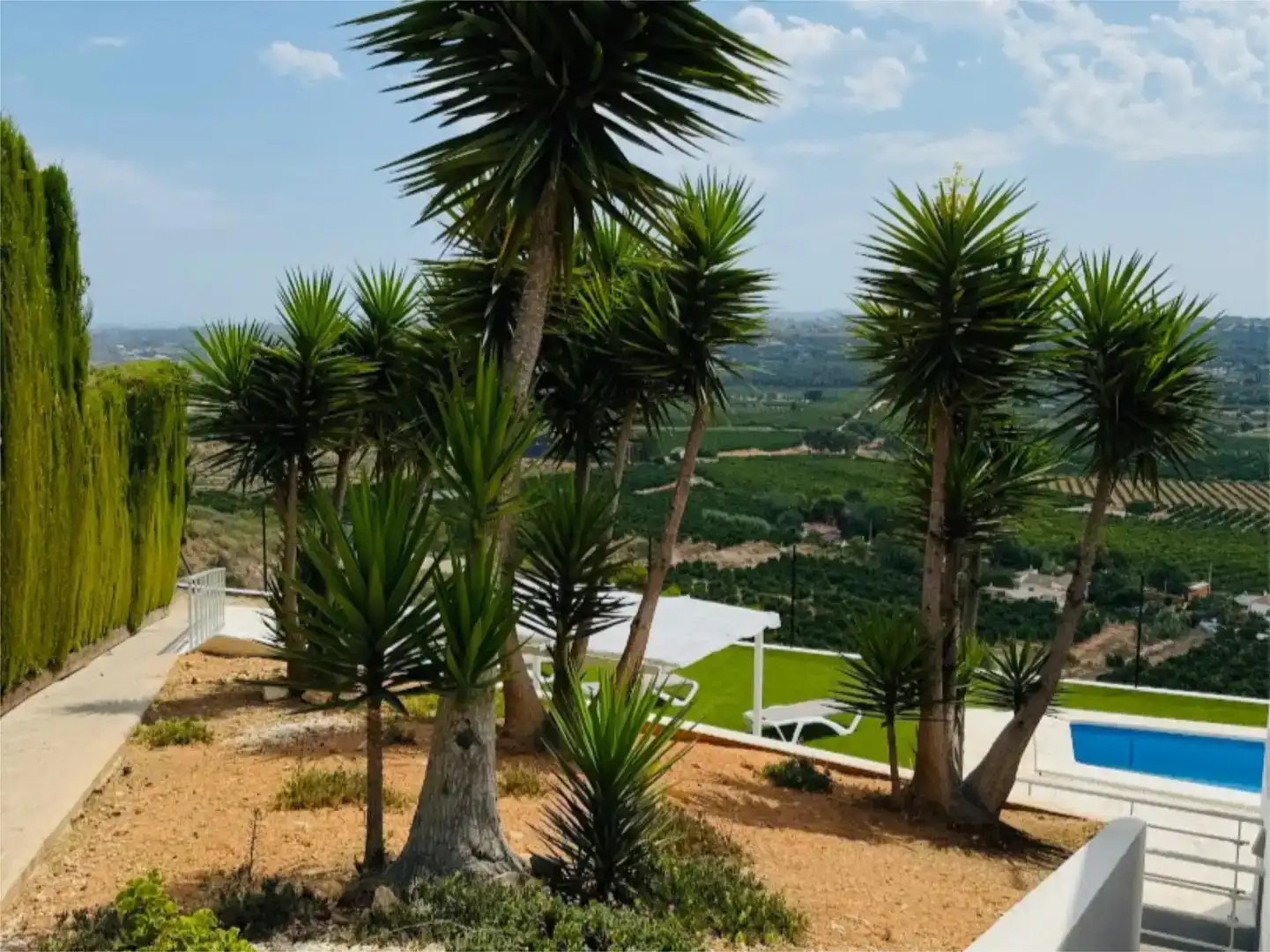 Jardí de Casa o xalet de lloguer en Torrent amb Aire condicionat, Piscina i Balcó