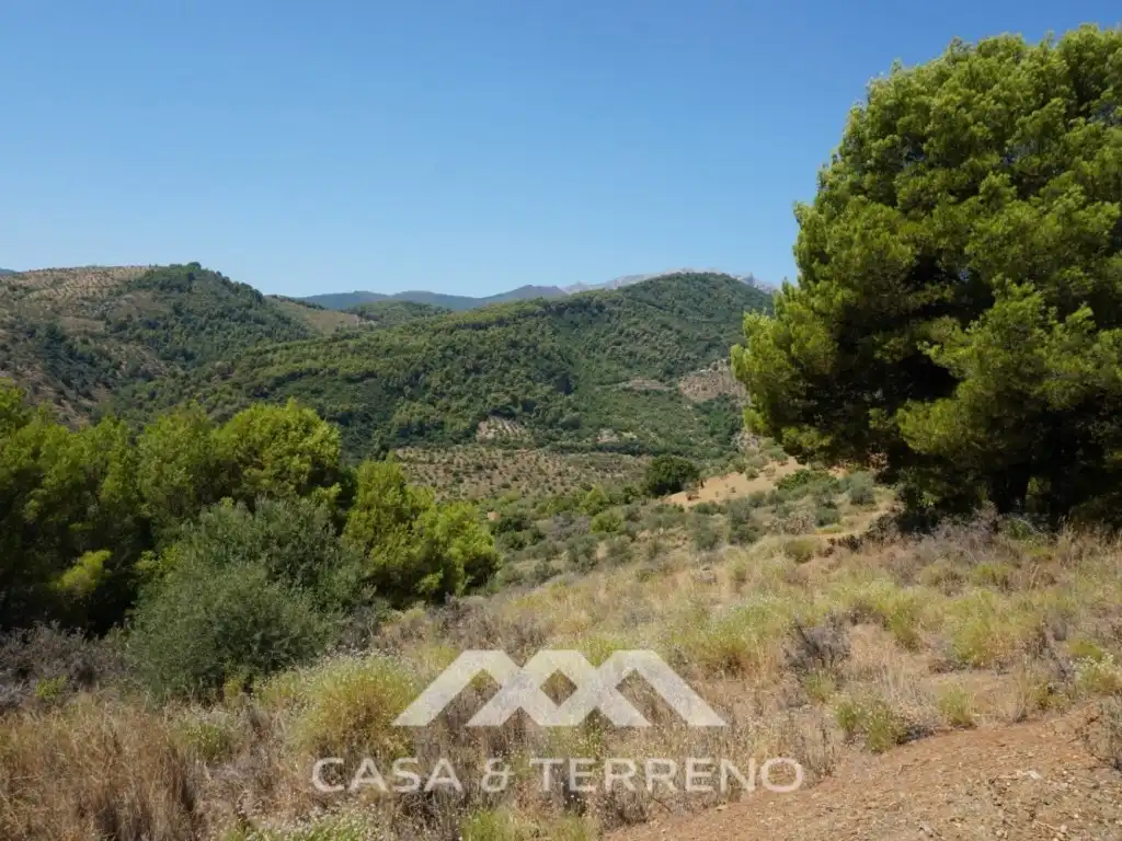 Casa amb jardí en venda a Yunquera, imagen 18