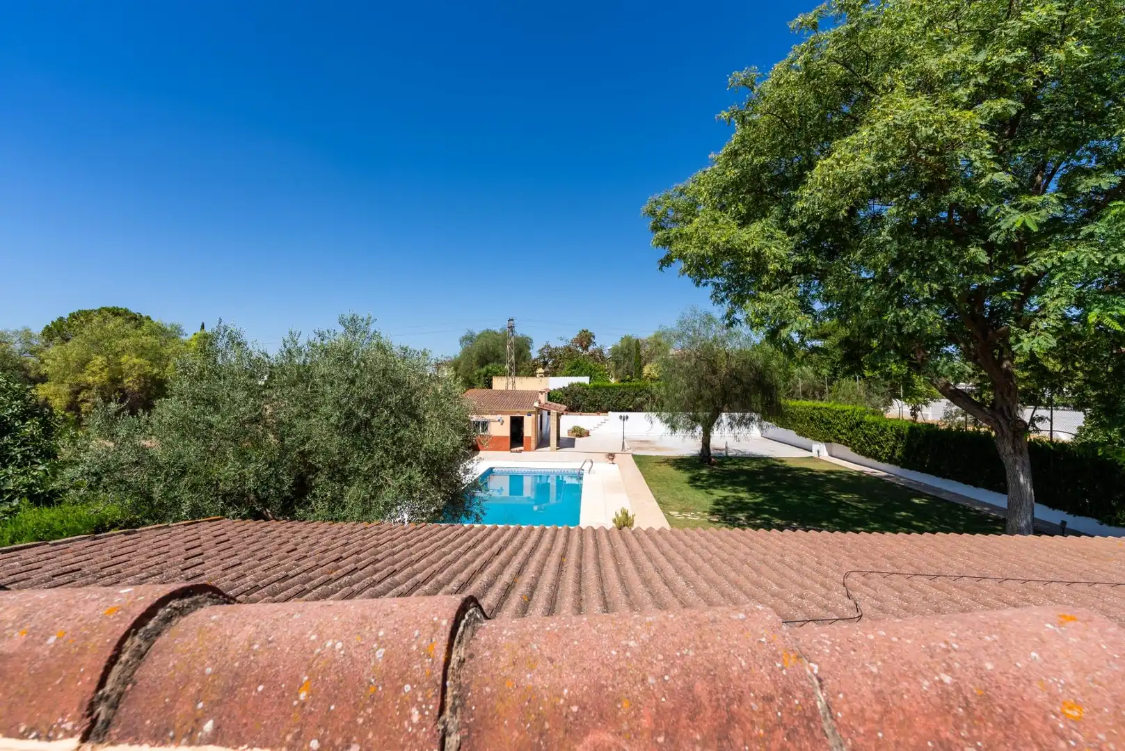 Detached house with pool for sale in Calle de los Tulipanes, imagen 43