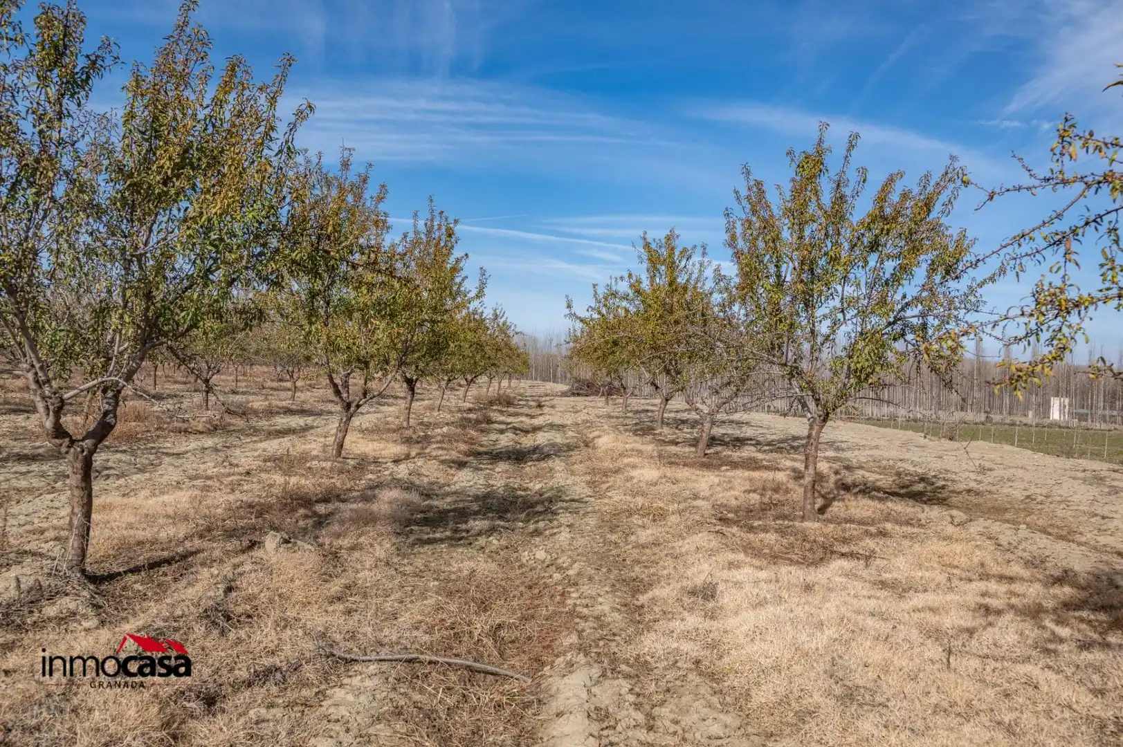 Terreno en venta en Guadix