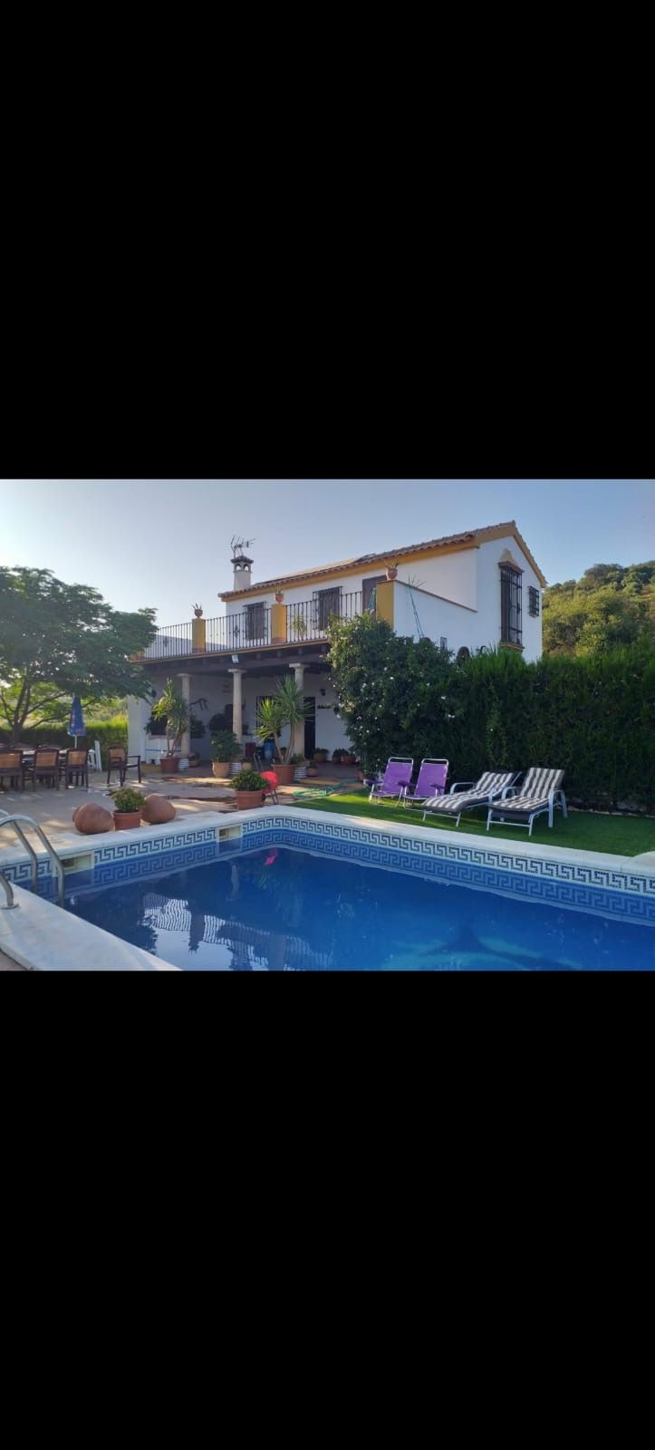 Vista exterior de Finca rústica en venda en La Puebla de los Infantes amb Aire condicionat, Calefacció i Jardí privat