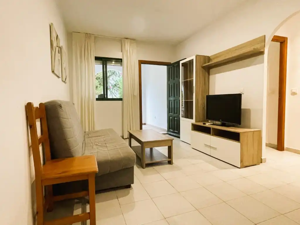 Living room of Apartments for sale in Vera  with Air Conditioner, Terrace and Furnished