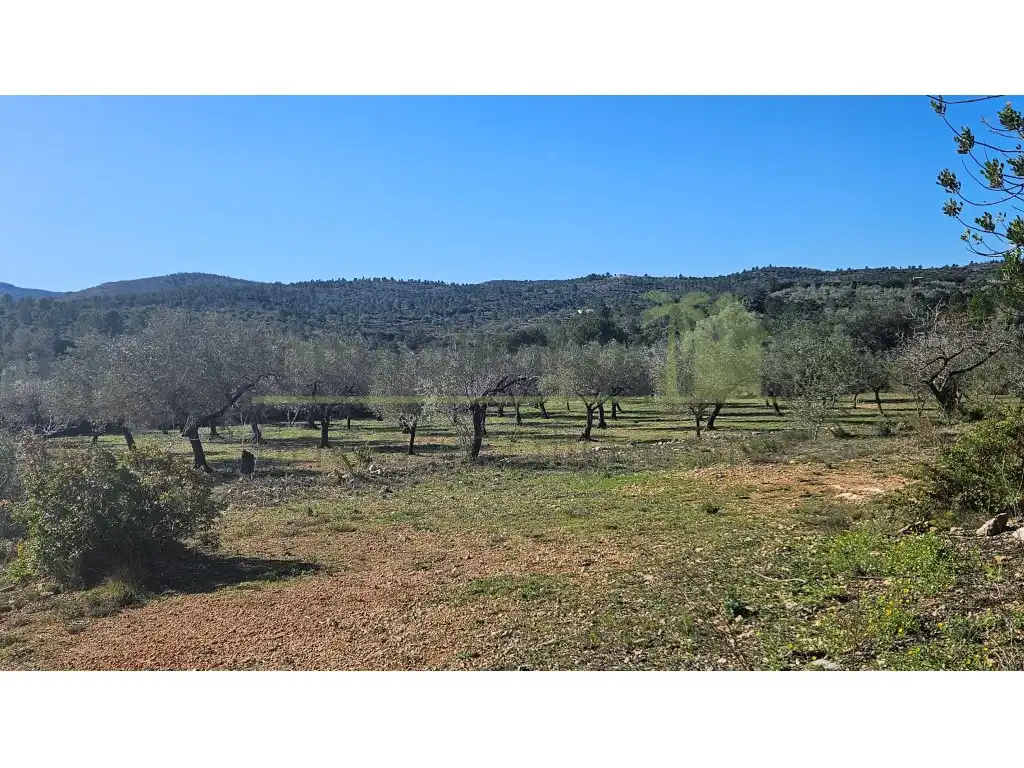 Casa o xalet en venda en Cervera del Maestre amb Aire condicionat