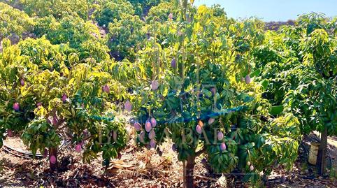 Foto 3 de Casa o xalet en venda a N/a, -1, Camino Viejo de Málaga, Vélez-Málaga