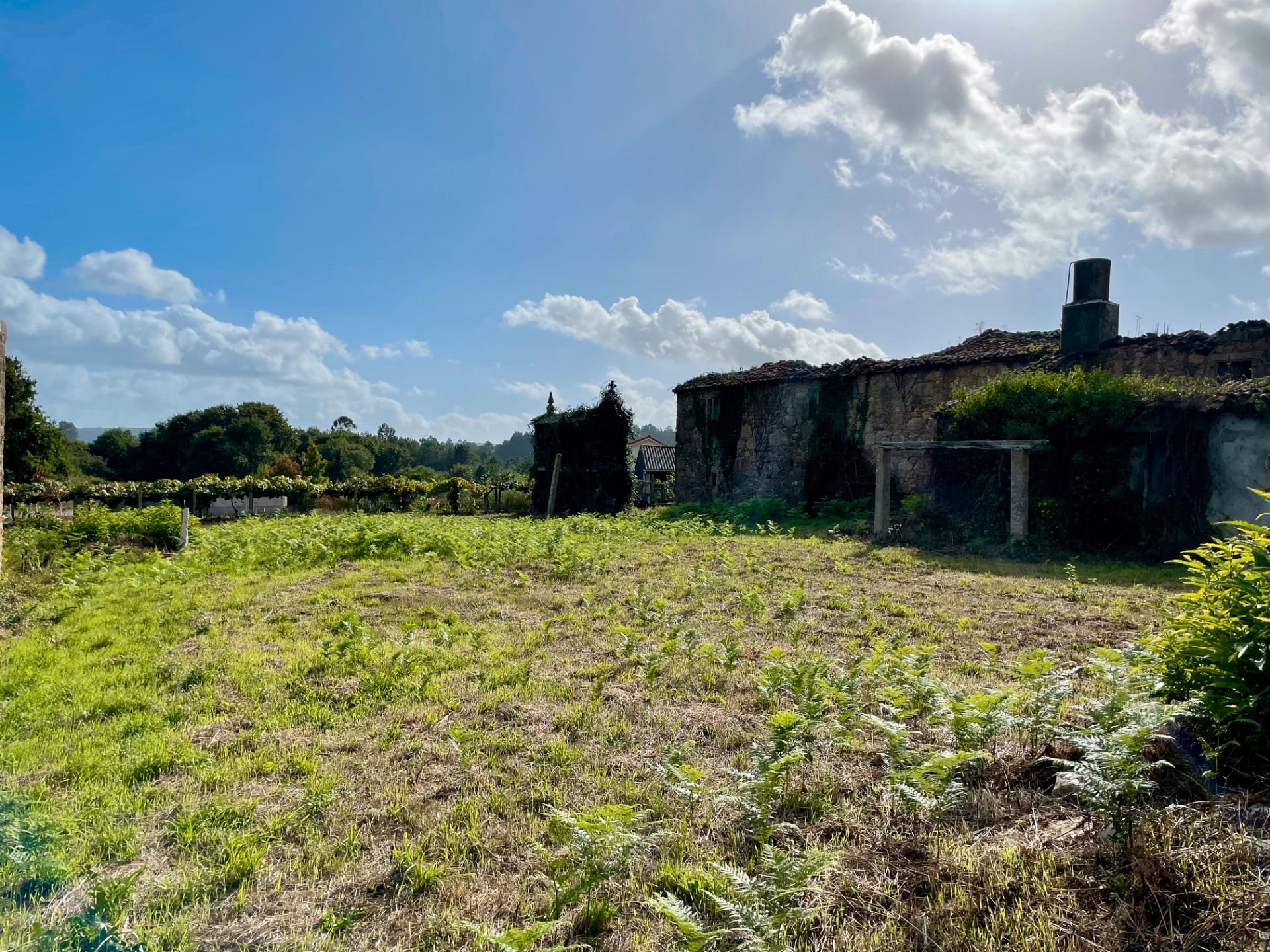 Country house zum verkauf in Teo