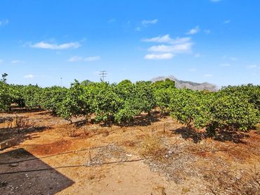 Residential land for sale in Ondara