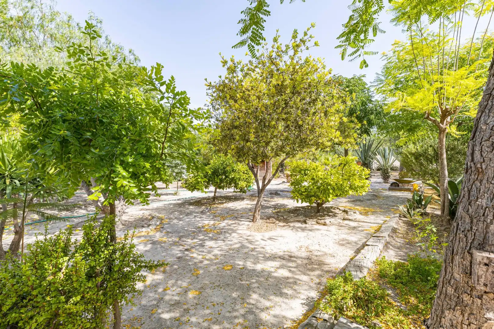 Casa o xalet en venda en Molina de Segura amb Aire condicionat, Jardí privat i Terrassa