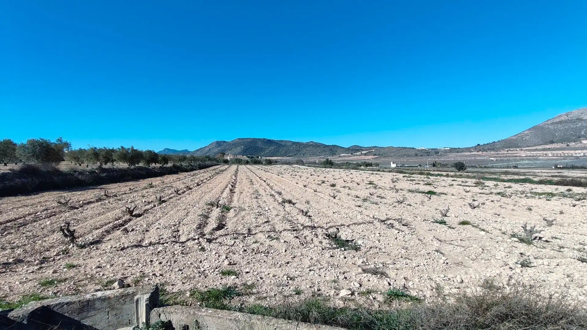 Lands and plots for sale in Abanilla, imagen 5