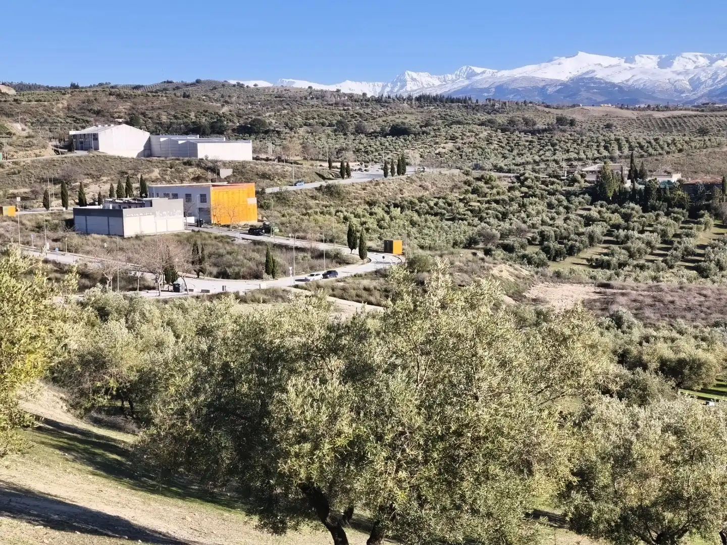 Lands and plots for sale in Alfacar, imagen 21