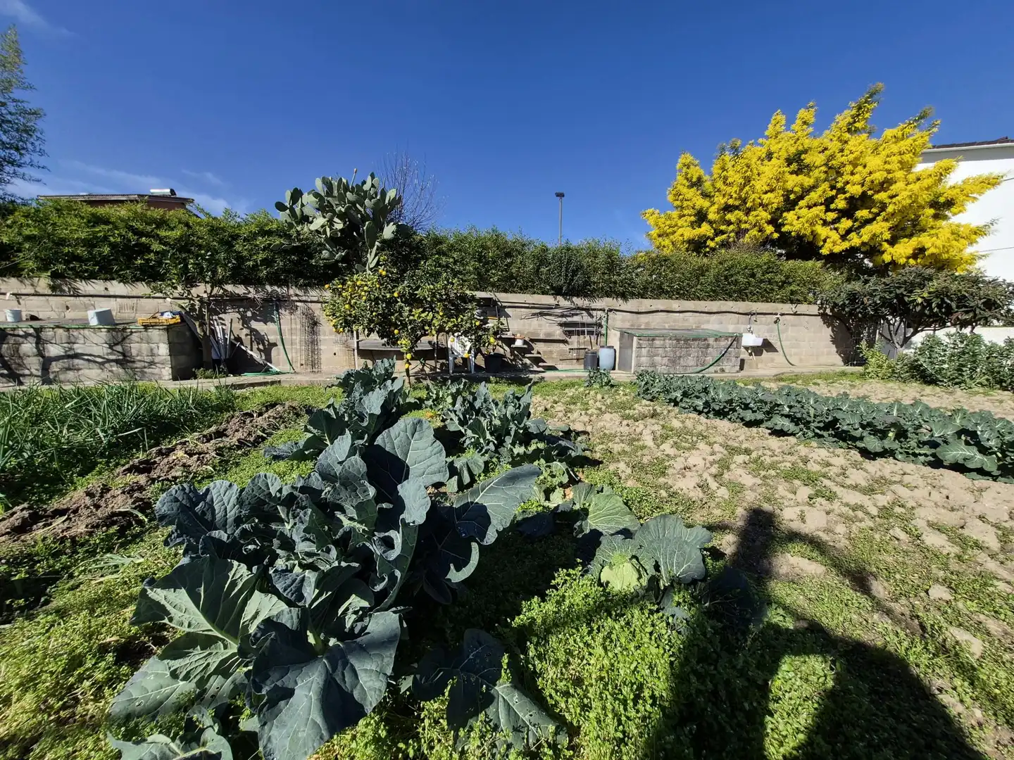 Jardín de Casa o chalet en venta en Lliçà d'Amunt con Calefacción y Jardín privado