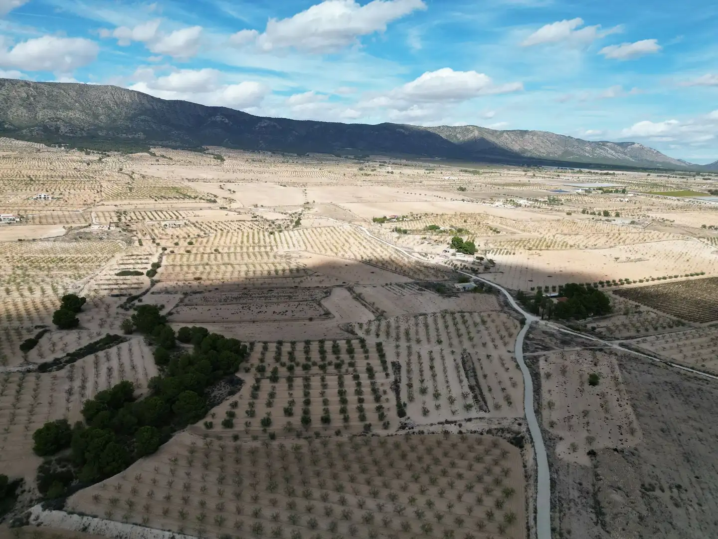 Terreno residencial en venta en El Pinós / Pinoso, imagen 9