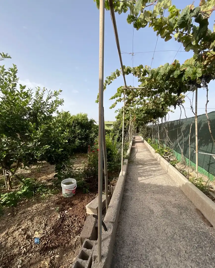 Garden of Houses for sale in Granadilla de Abona