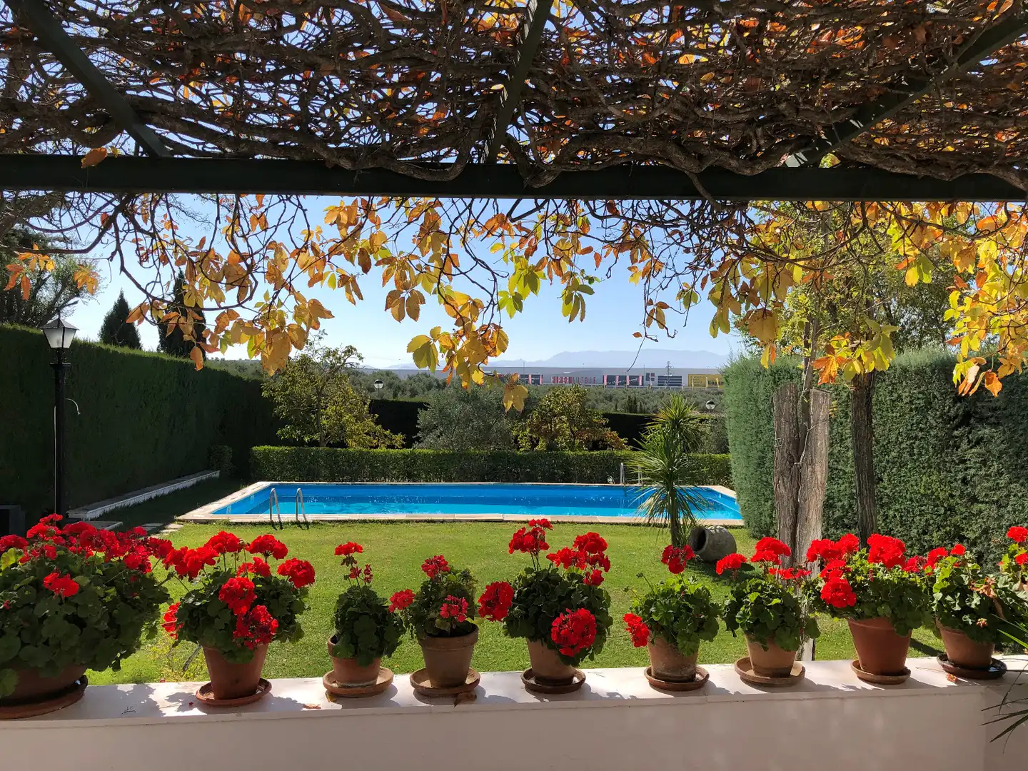 Garden of Houses for sale in Úbeda  with Heating, Private garden and Swimming Pool