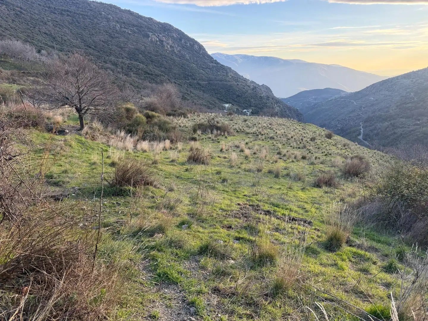 Rural land for sale in Bubión, imagen 15