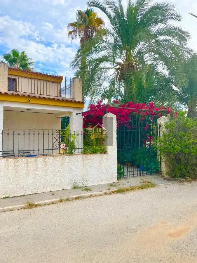 Vista exterior de Casa o chalet en venta en Molina de Segura con Terraza