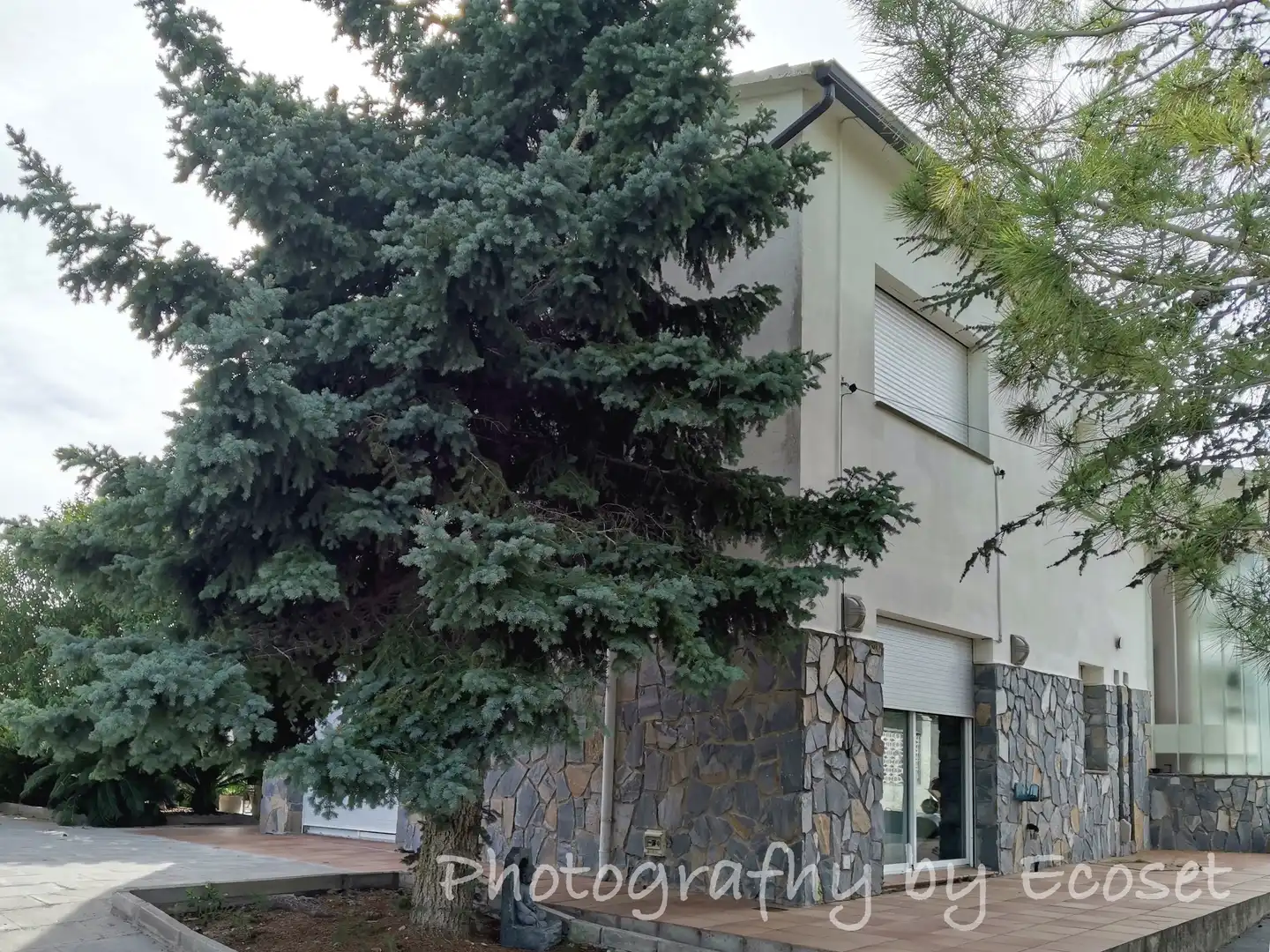 Villa avec piscine à vendre à Carrer Major 316, imagen 10