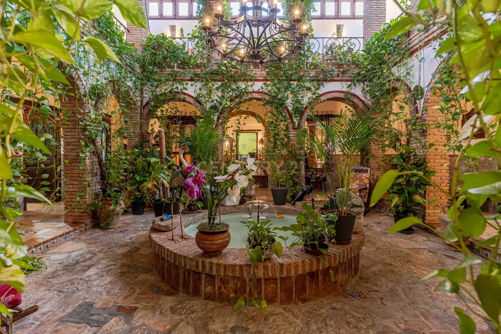 Jardín de Casa o chalet en venta en Huelma con Jardín privado y Sauna