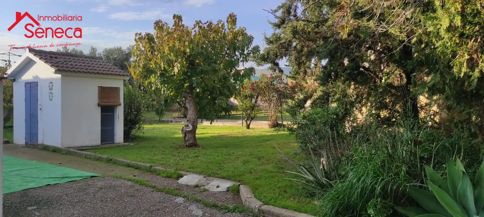Estudio de alquiler en CARRETERA DE PALMA DEL RIO, Villarrubia