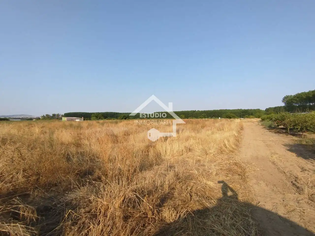 Rural land for sale in Viana, imagen 10
