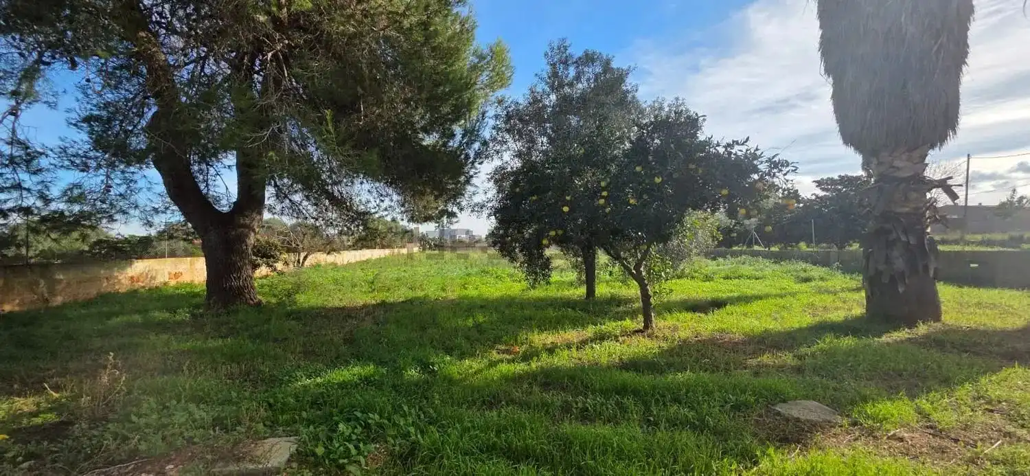 Maison à vendre à Manacor Centre, imagen 42