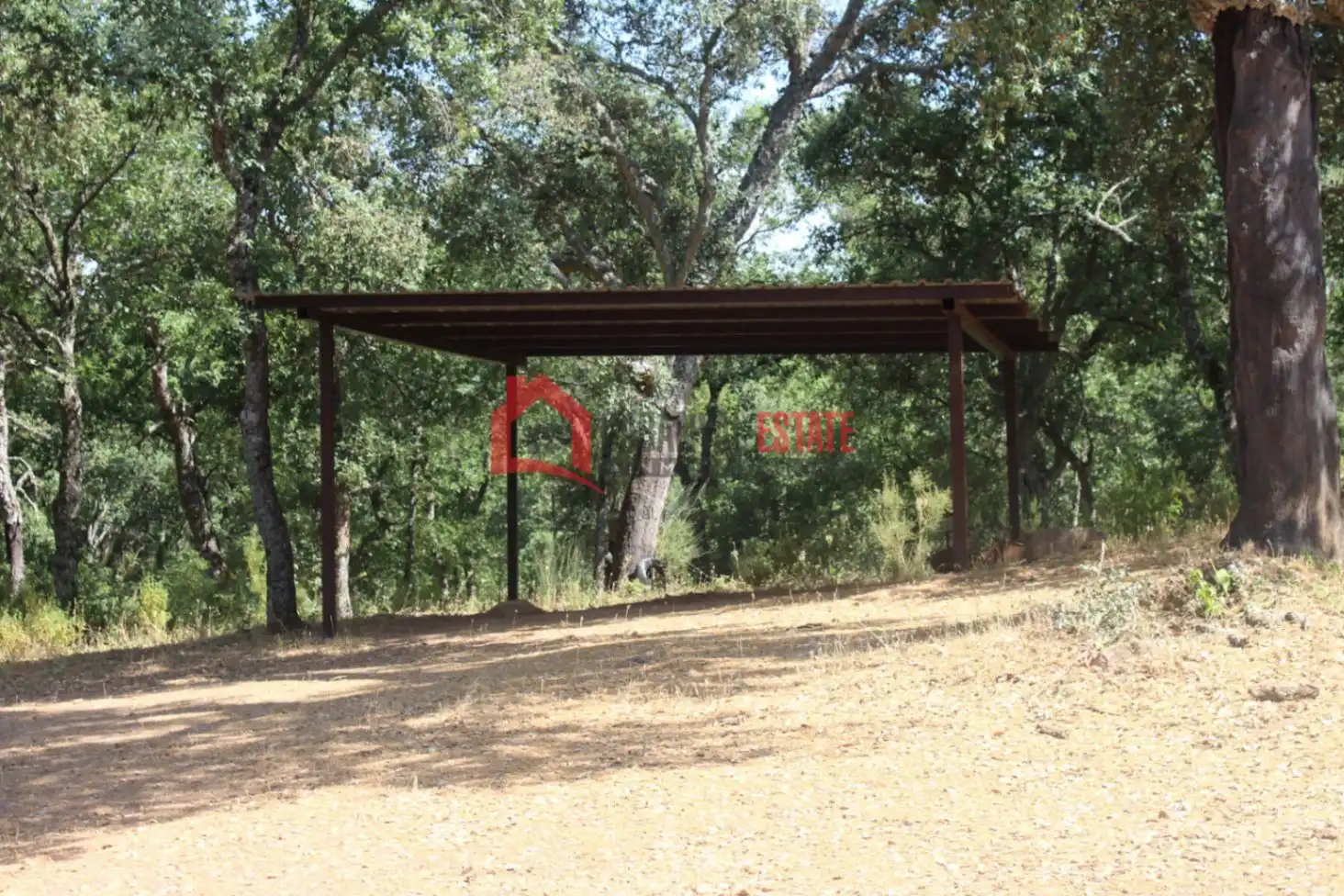 Casa o xalet en venda en Fuencaliente amb Jardí privat, Terrassa i Traster