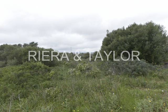 Terreno en Venta en Cales de Mallorca