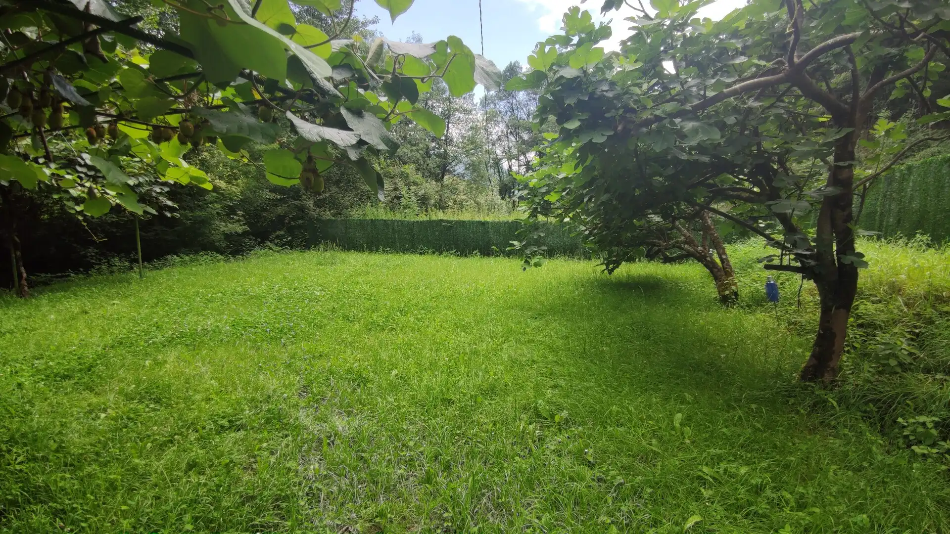 Finca rústica en venda en Igorre amb Calefacció, Jardí privat i Terrassa