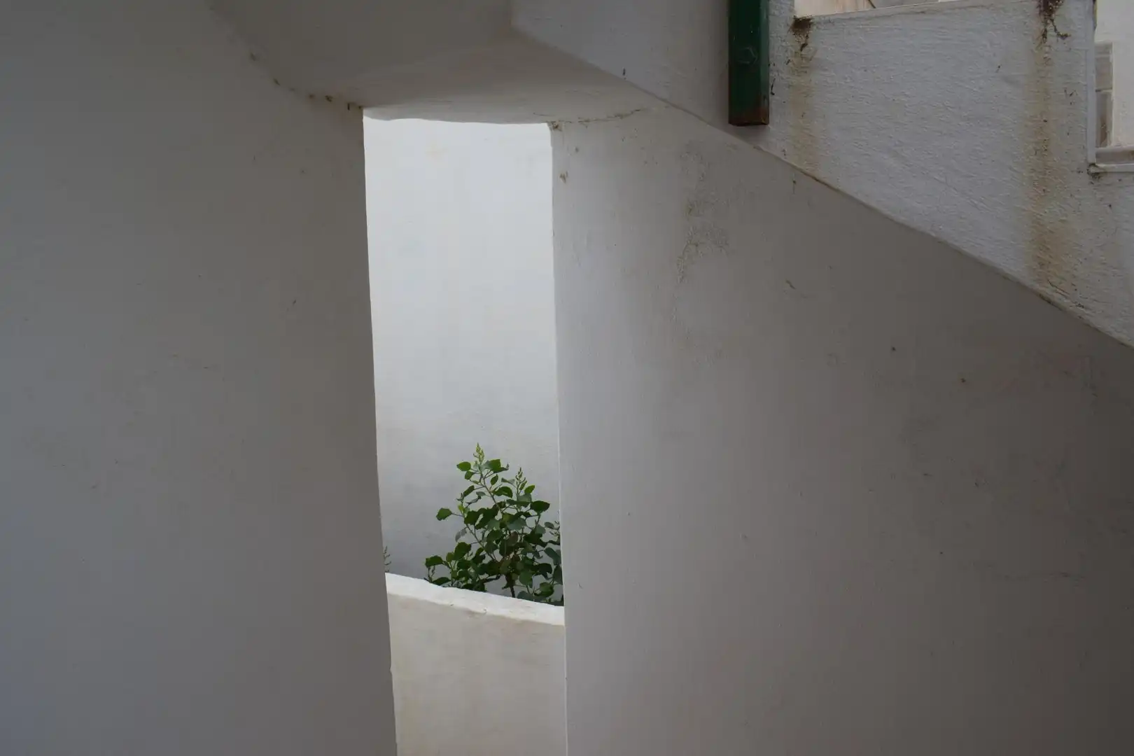 Houses for sale in San Bartolomé de Tirajana  with Private garden, Terrace and Storage room