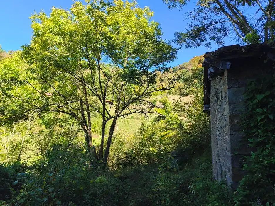 Casa rustica in vendita a Lugar Vallin 29A, imagen 6