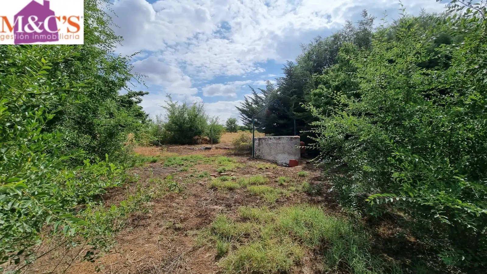 Terreno rustico in vendita a Argamasilla de Calatrava, imagen 20