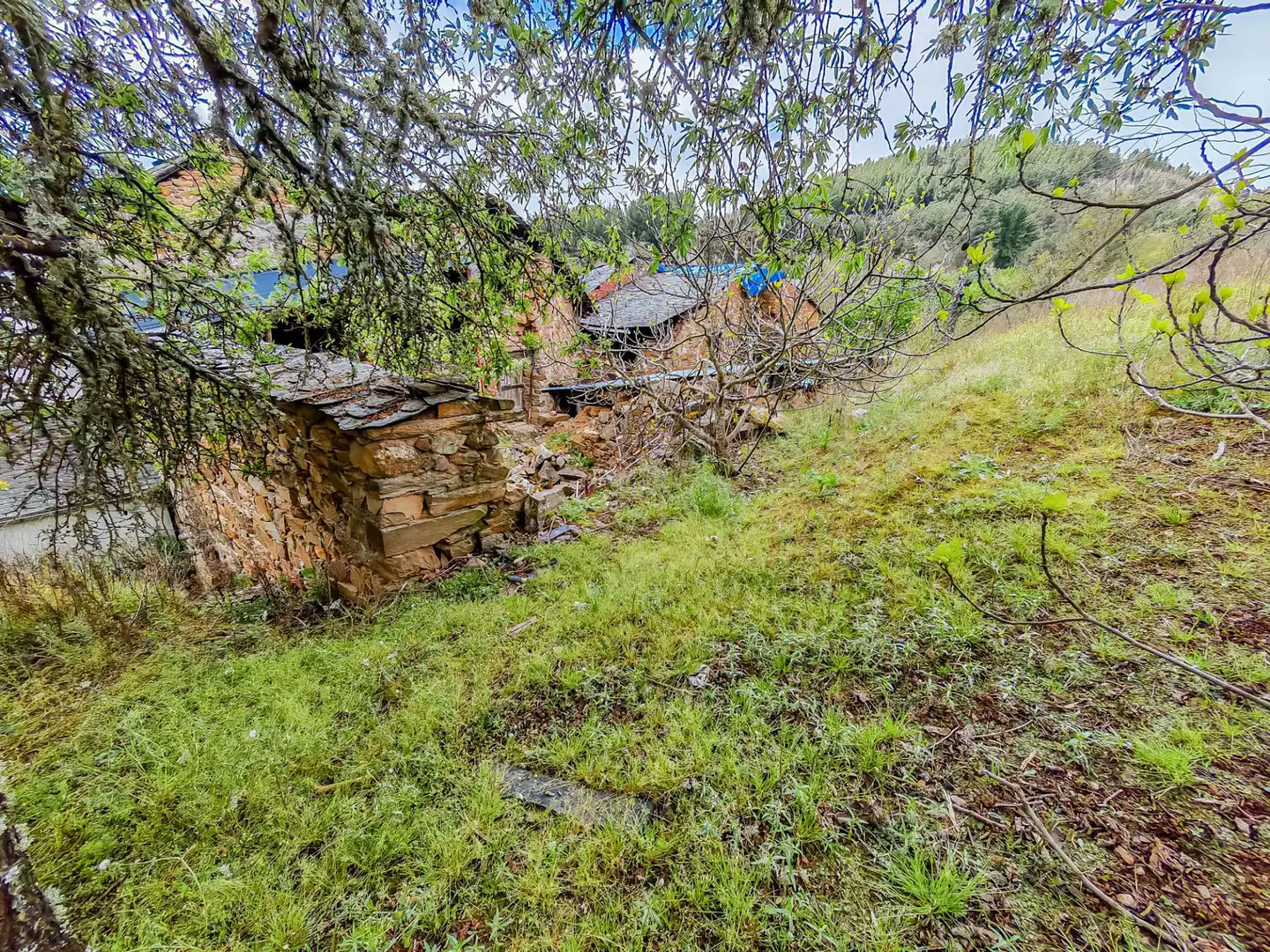 Casa o chalet en venta en Arganza con Calefacción