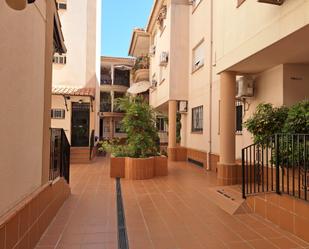 Exterior view of Flat to rent in Armilla  with Terrace