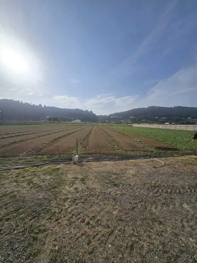 Terrenys i solars en venda a Área Rural, imagen 7