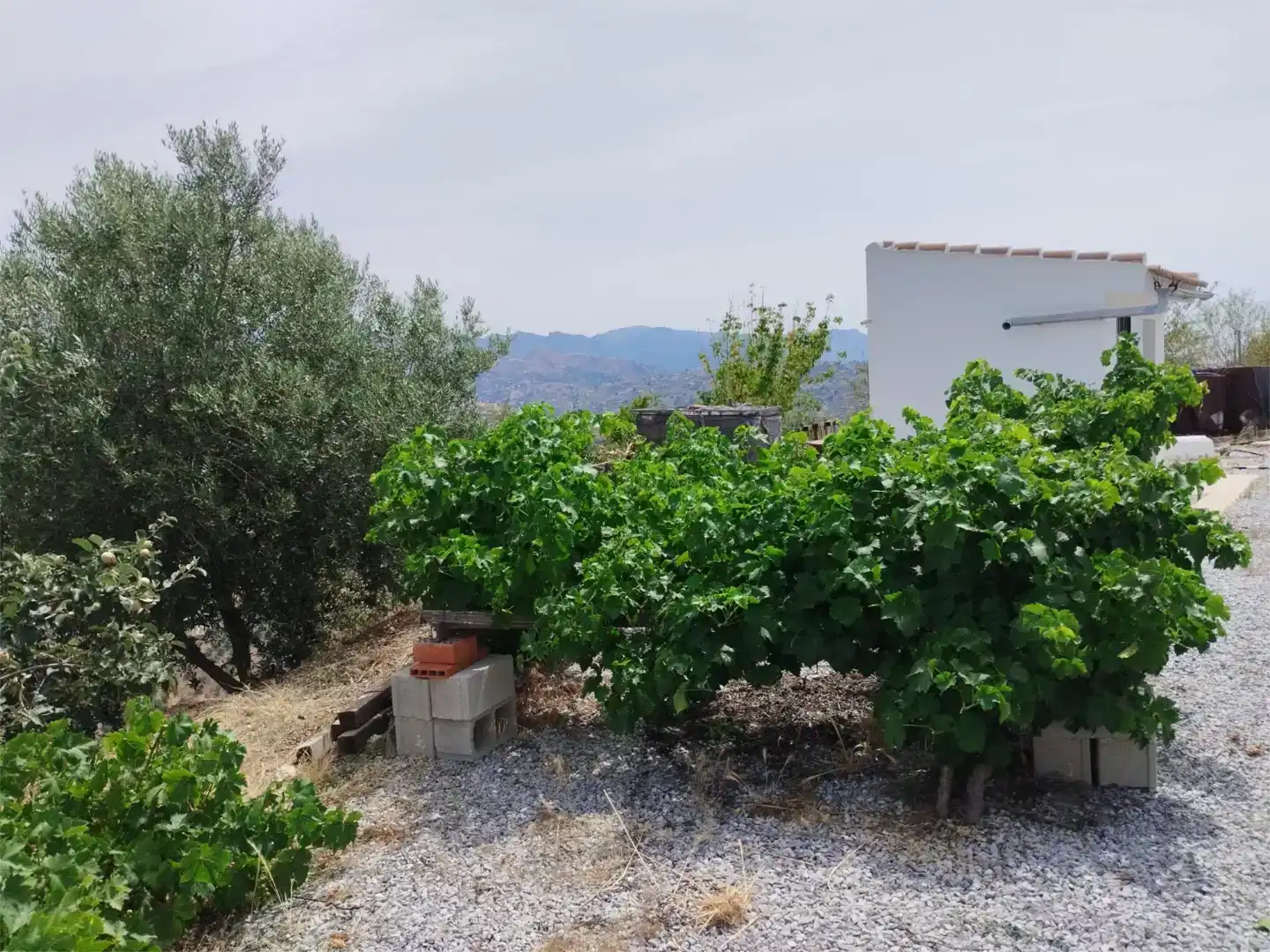 Terreno en venta en Arenas