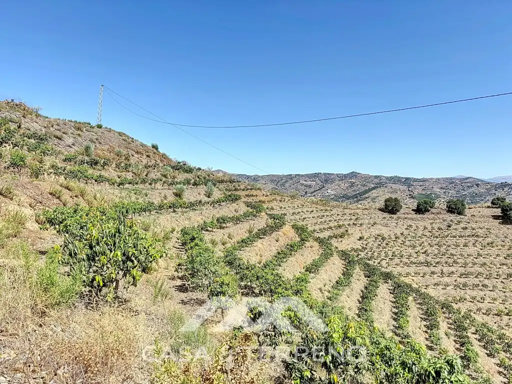 House for sale in Lagar Juan María Rebombeo, Cajiz, imagen 23