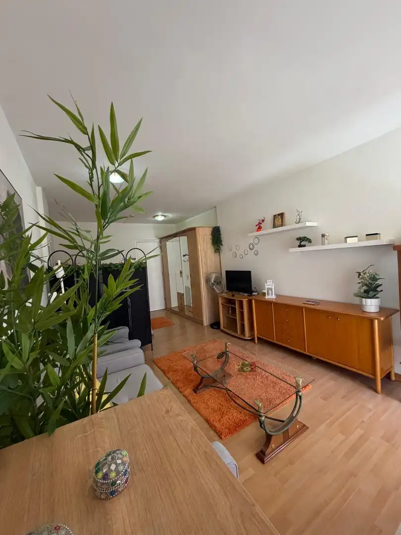 Sala d'estar de Estudi de lloguer en Puerto de la Cruz amb Parquet, Terrassa i Balcó