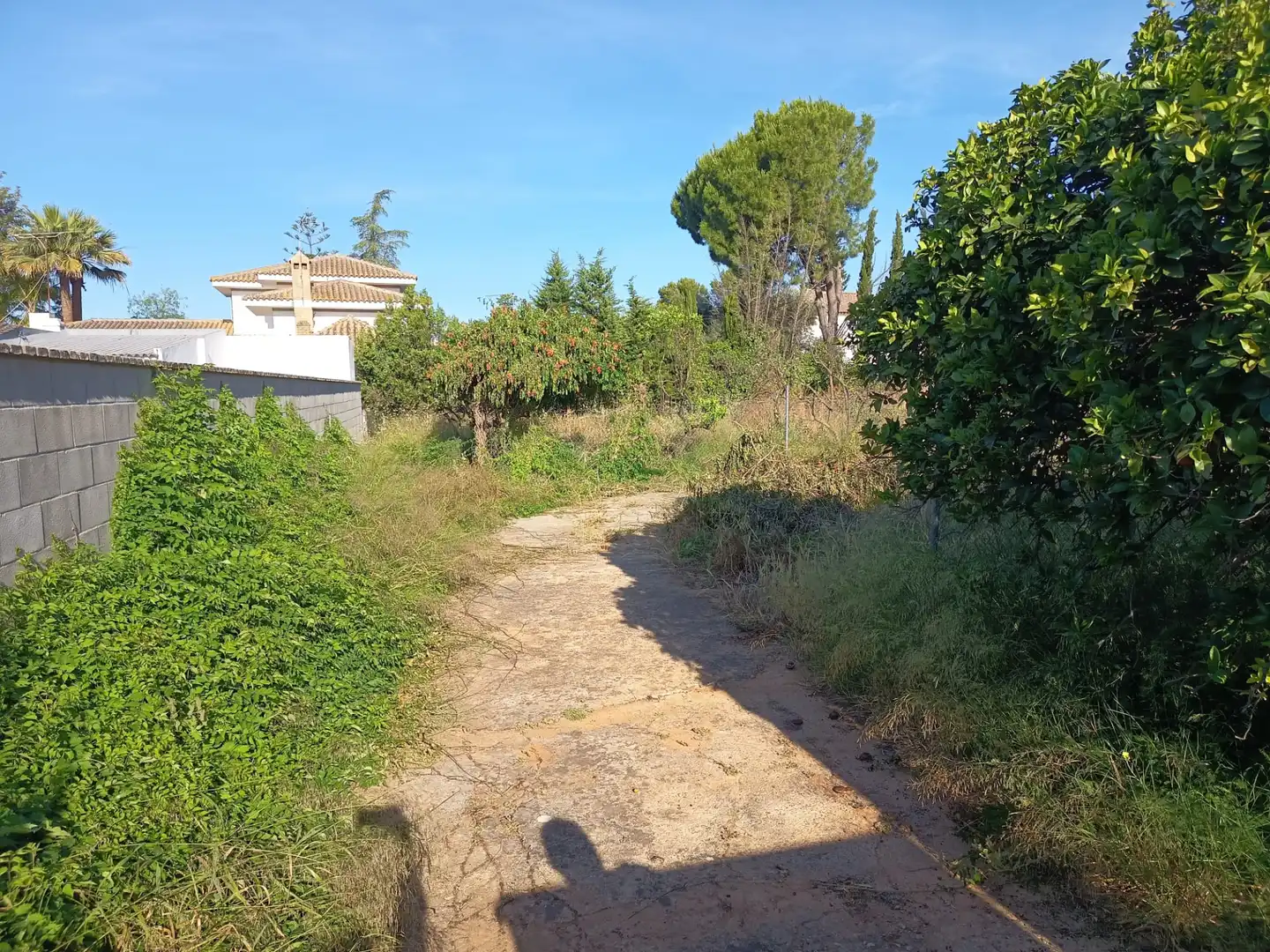 Casa o chalet en venta en Palomares del Río