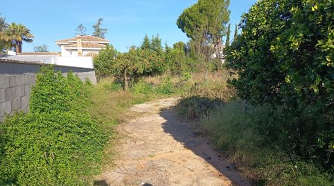 Foto 2 de Casa o chalet en venta en Calle Triana, Palomares del Río, Sevilla