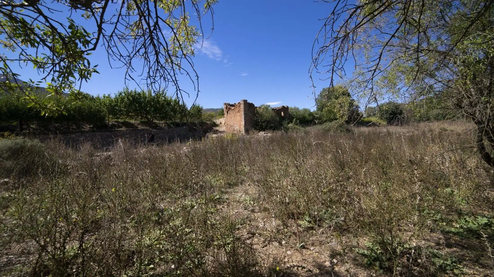 Terreny rústic en venda a PAGO ACEQUIA BAJA Polígono 11 Parcela 174 11, imagen 13