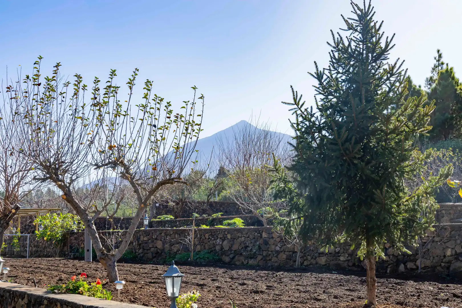 Jardí de Finca rústica en venda en El Tanque amb Calefacció, Jardí privat i Terrassa