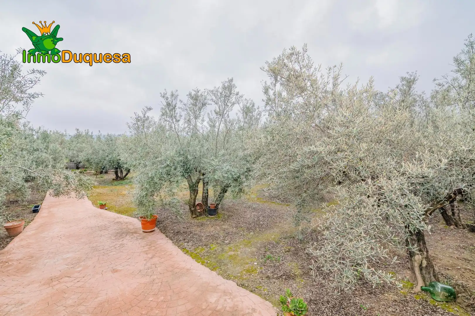 Garten von Country house zum Verkauf in Ogíjares