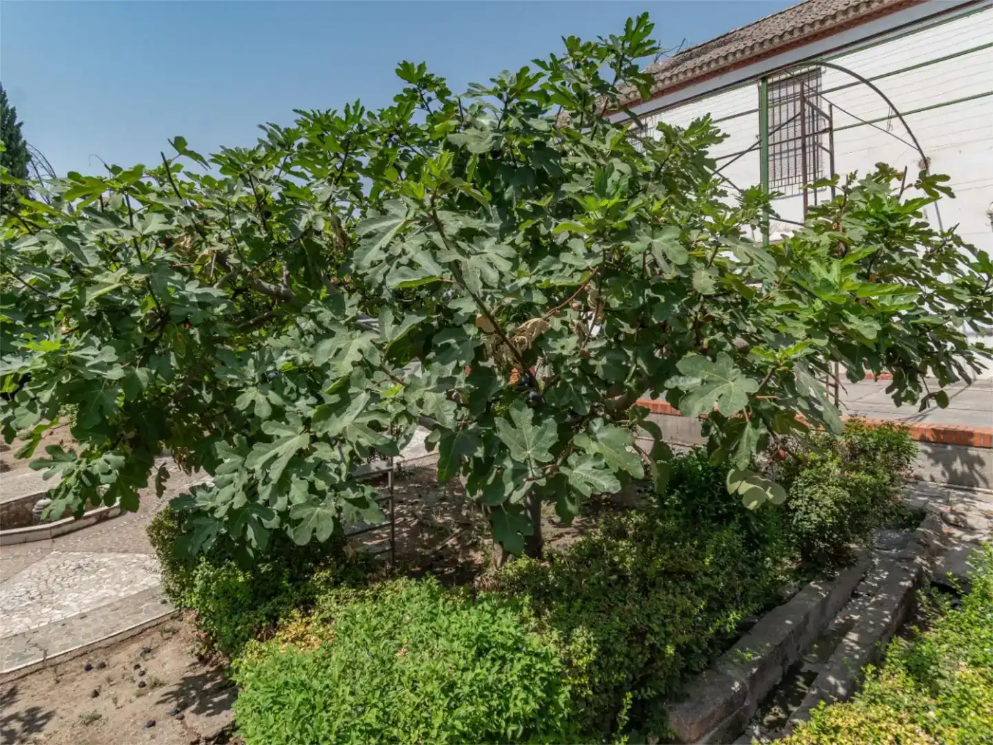 Jardín de Piso en venta en Granada con Jardín privado y Piscina